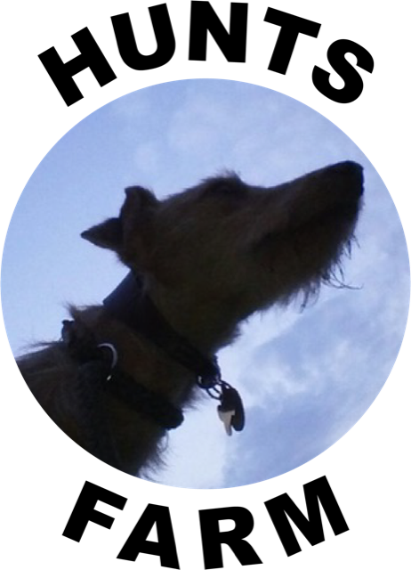 Hunts Farm Dog Training
